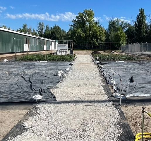 Gravel pathway between garden beds