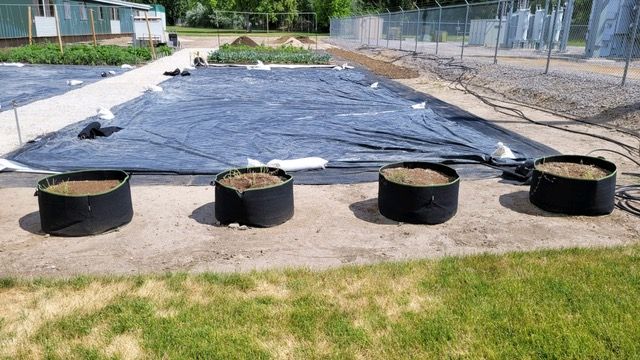 Cloth bags filled with soil and new herbs