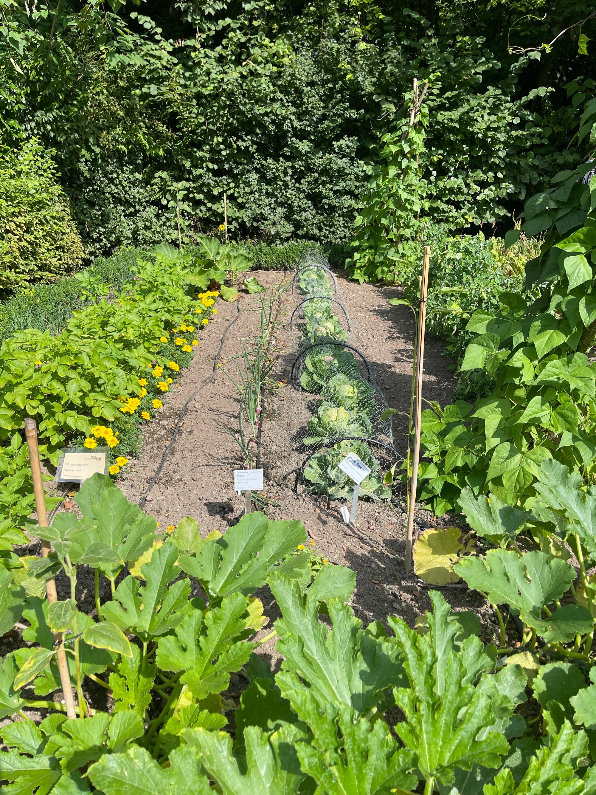 Designing your garden space